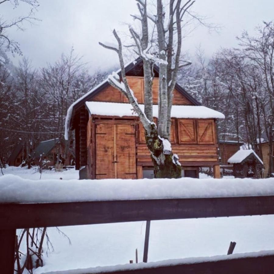 Bungalows Prokletije Gusinje Exteriör bild
