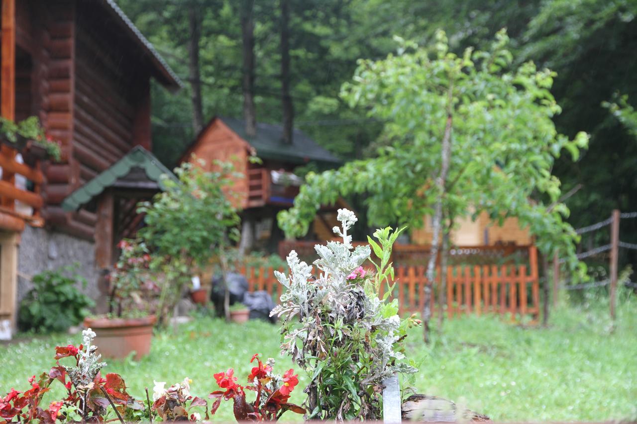 Bungalows Prokletije Gusinje Exteriör bild